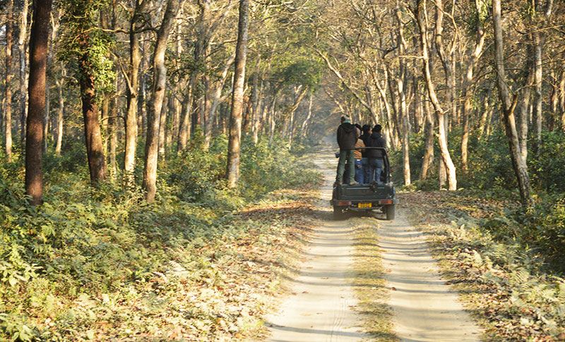 Gorumara National Park